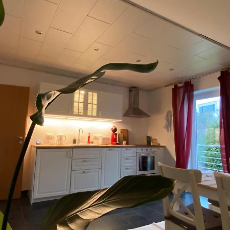 Moderne Ferienwohnung Seeblick Фройденгберг Екстер'єр фото